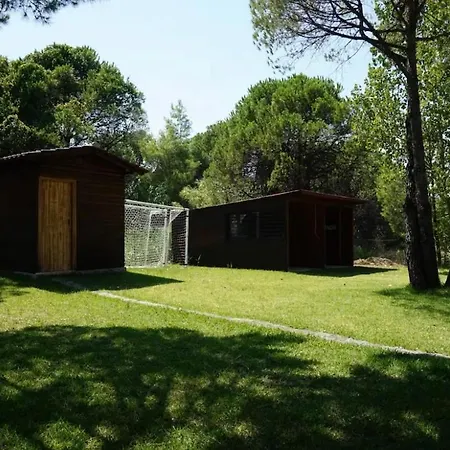 Karidi Maisonette Feriehus Vourvourou